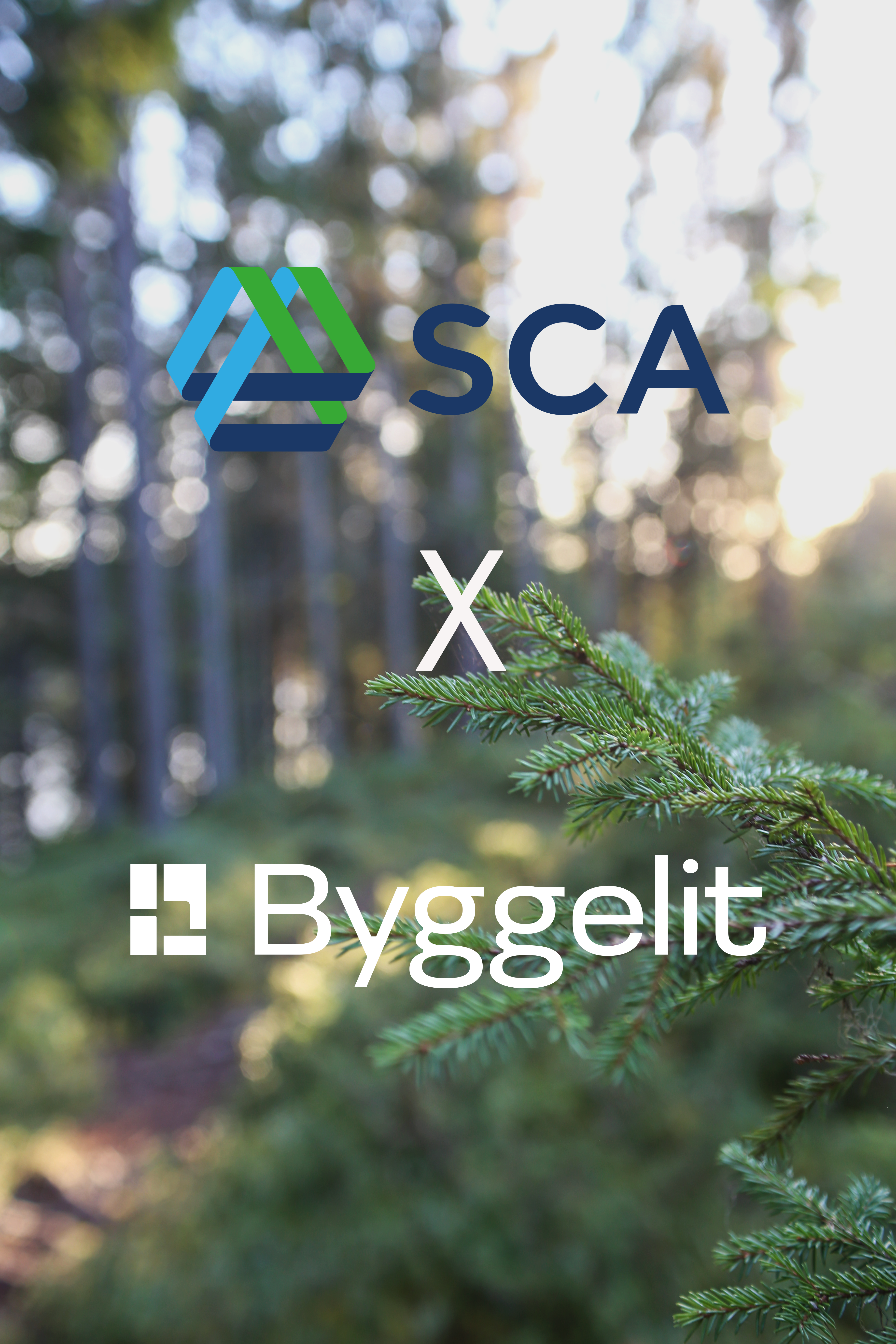 SCAxByggelit